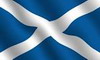 Scottish Flag